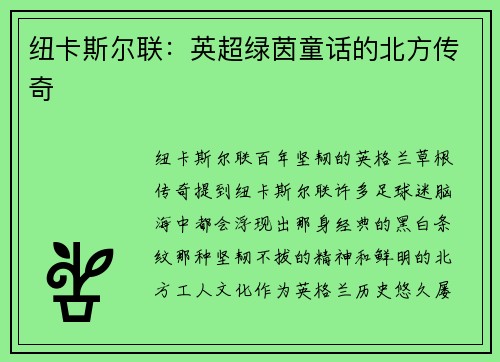 纽卡斯尔联：英超绿茵童话的北方传奇