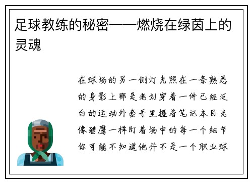 足球教练的秘密——燃烧在绿茵上的灵魂